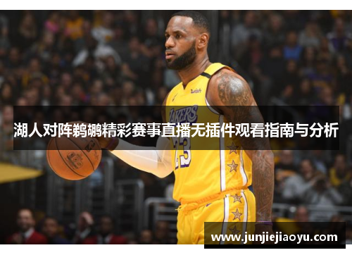 湖人对阵鹈鹕精彩赛事直播无插件观看指南与分析